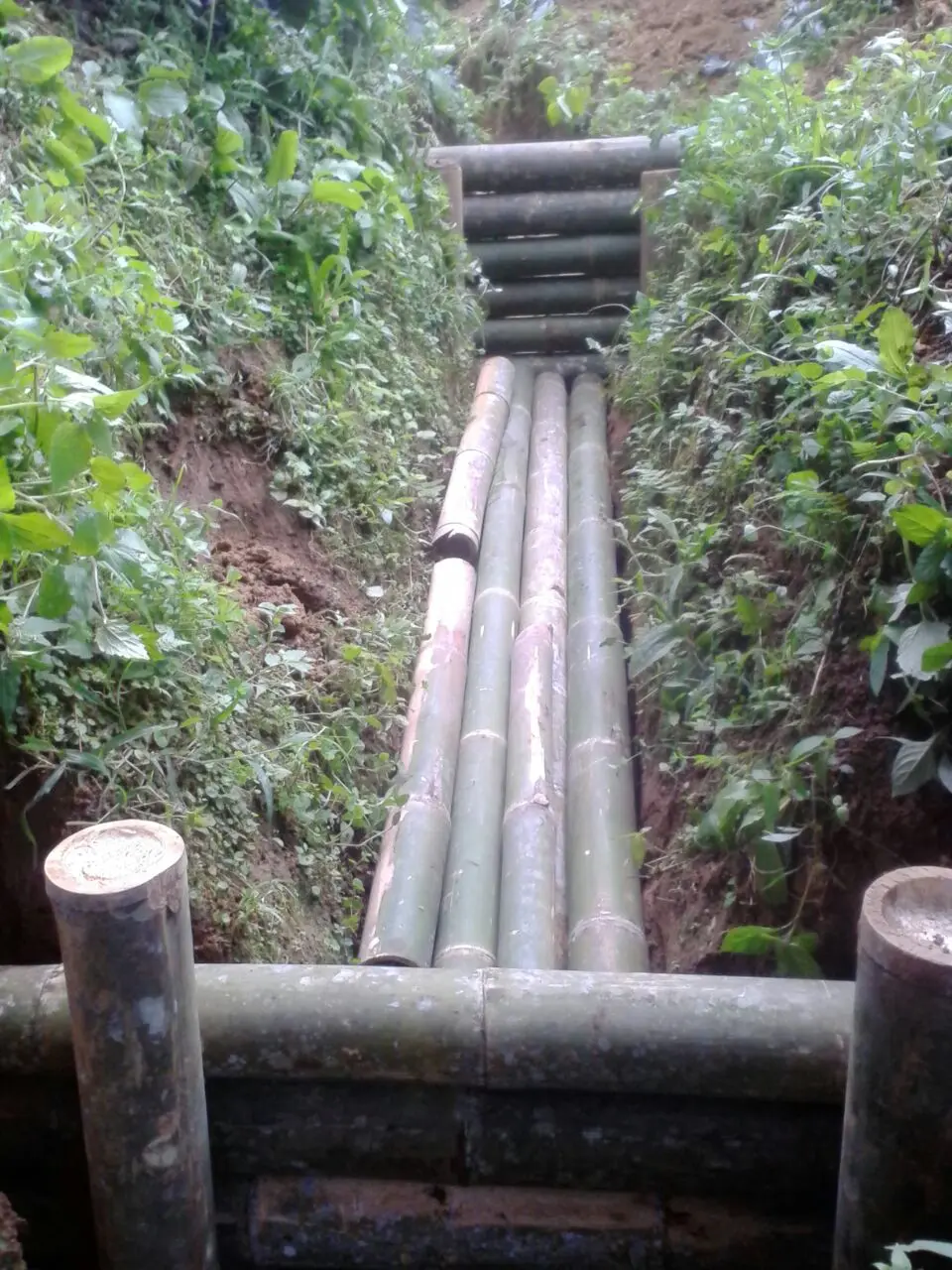 Estabilización ambiental de terreno