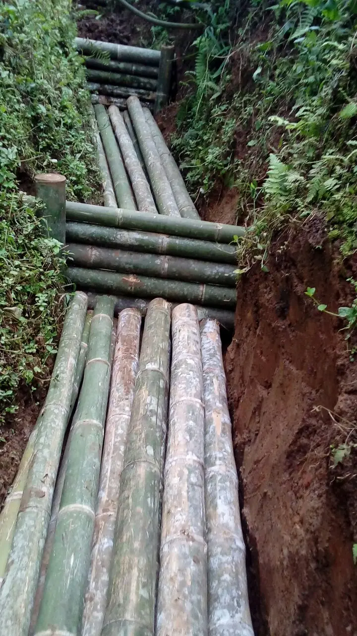 Obras de estabilización con guadua