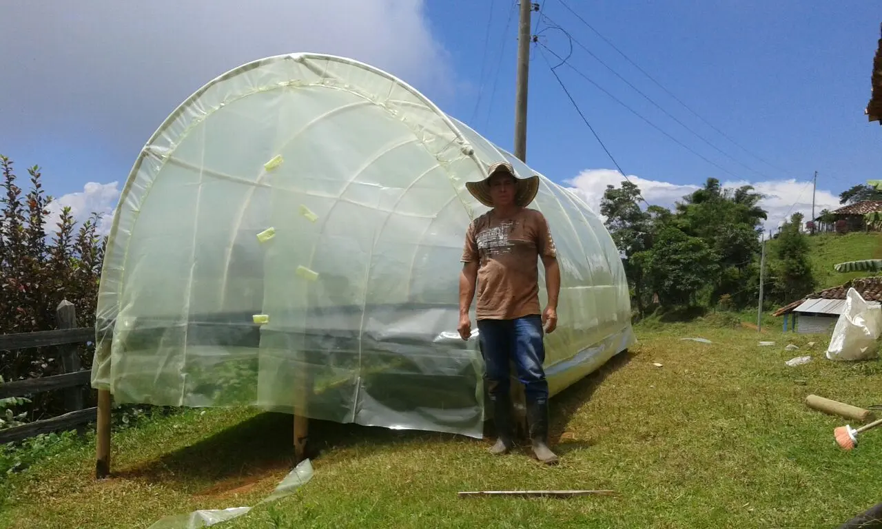 Estructura para marquesina agrícola